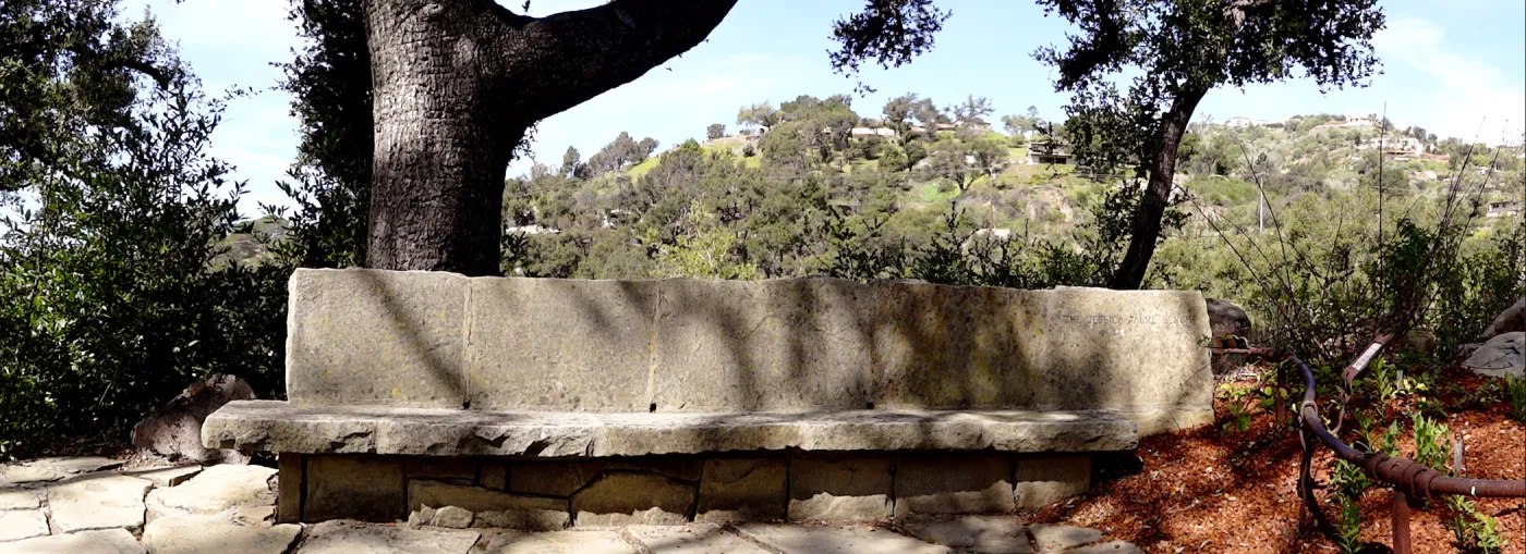 stone bench, Orchid Display, panorama