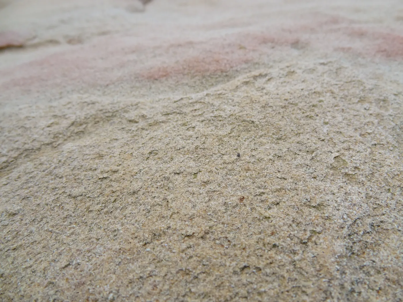 Sandstone boulders as texture and pattern