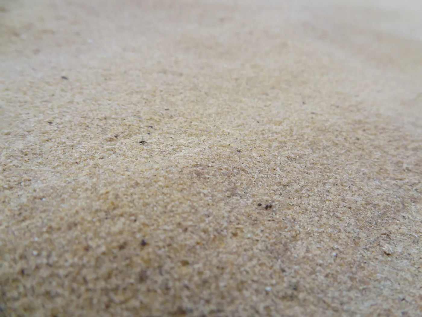 Sandstone boulders as texture and pattern