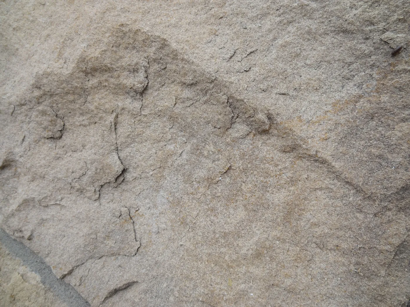 Sandstone boulders as texture and pattern