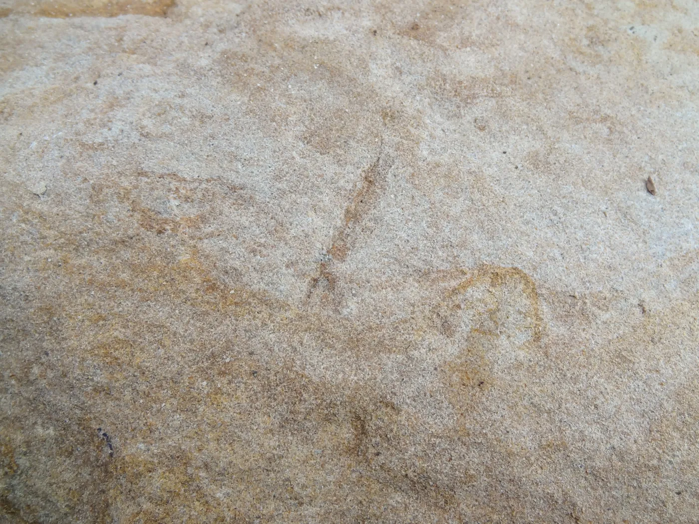 Sandstone boulders as texture and pattern