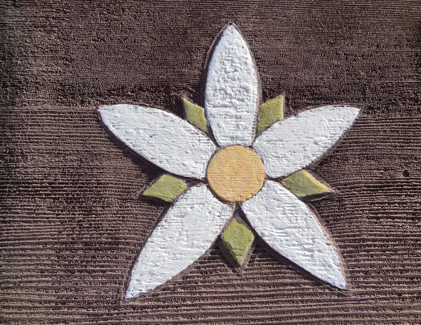 Mentzelia flower from wood entrance sign, texture and pattern