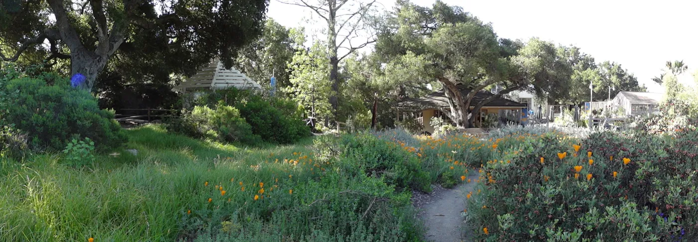 lower Meadow, amphitheater seating behind Entrance Kiosk, panorama