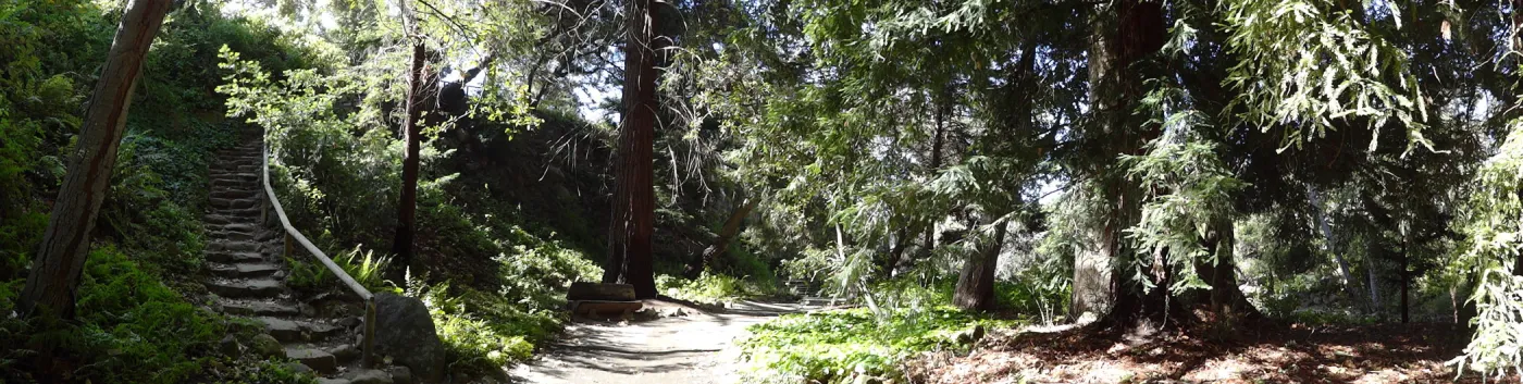 Indian Steps, Redwood Section, panorama