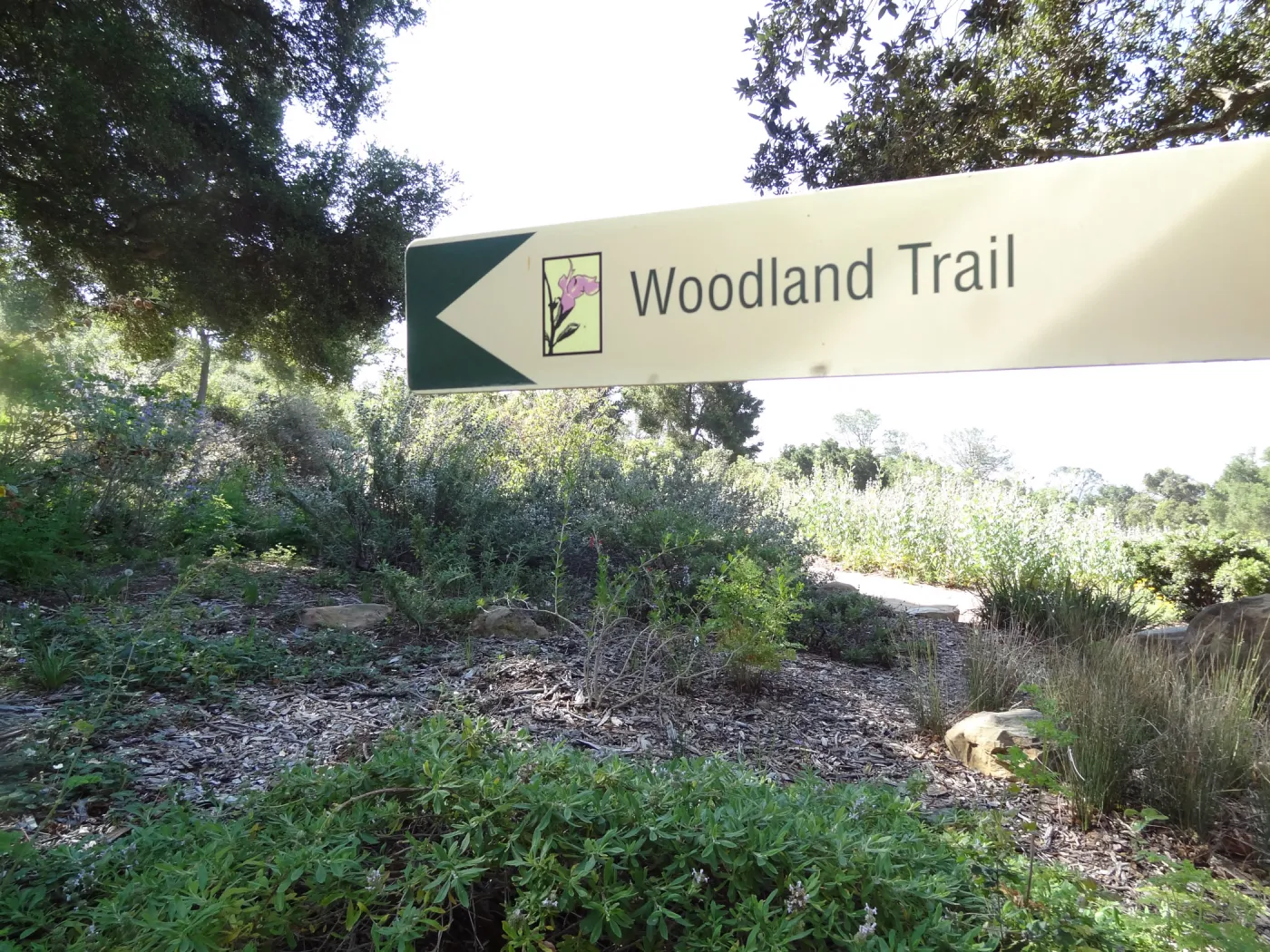 Woodland Trail sign