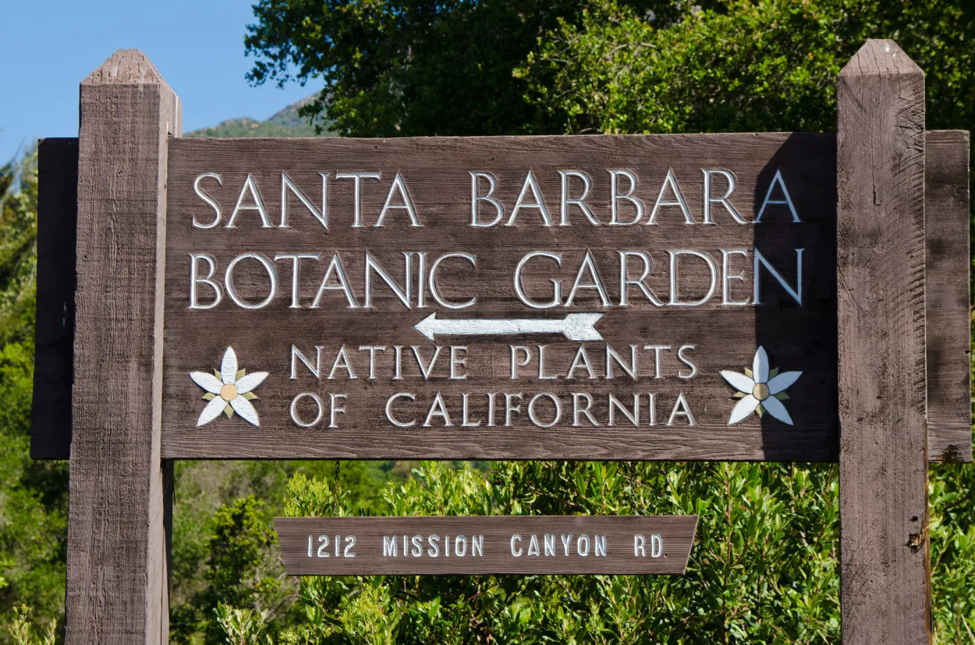 wood Entrance sign, SBBG Spring 2012