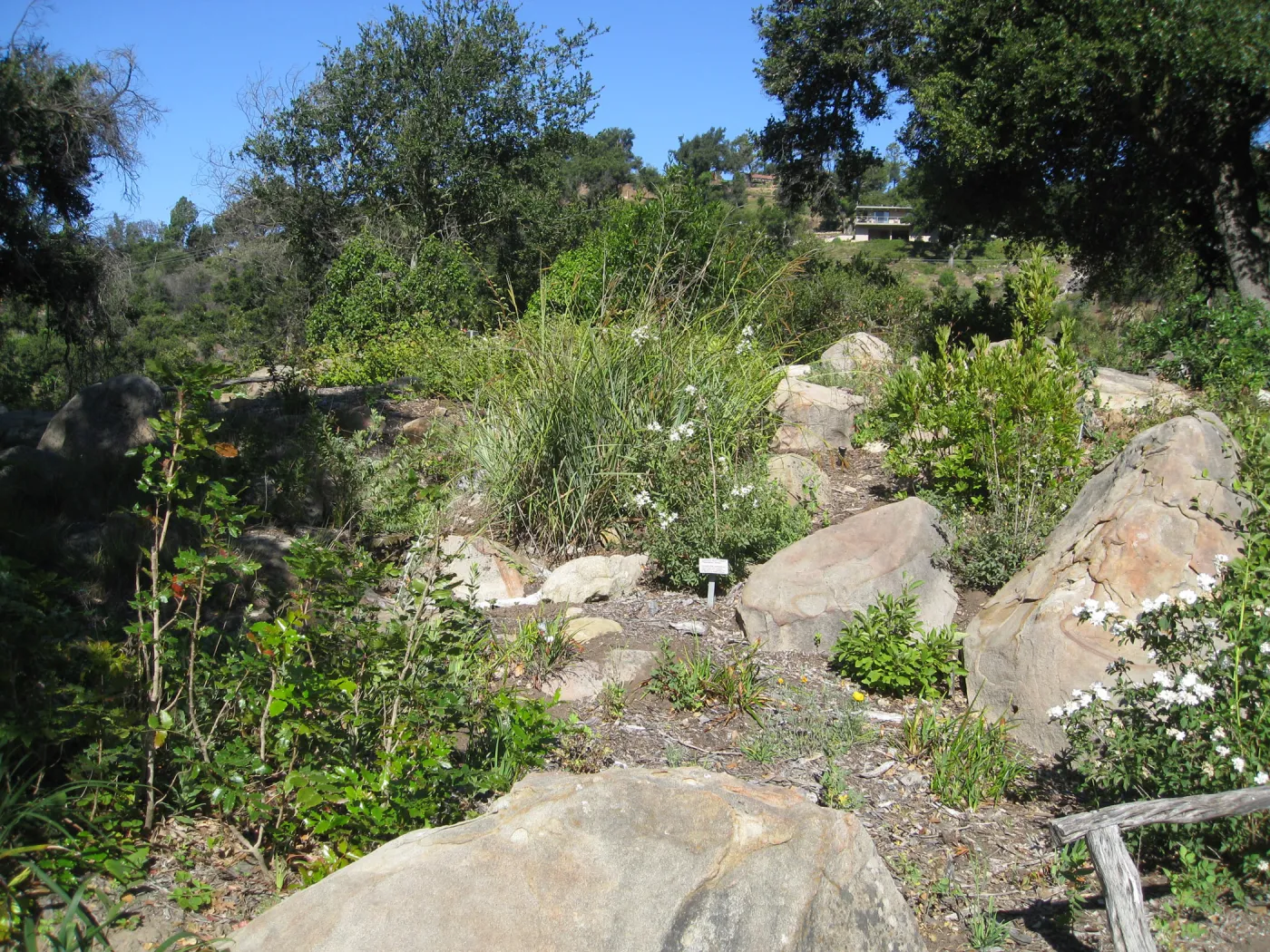 Brook bed