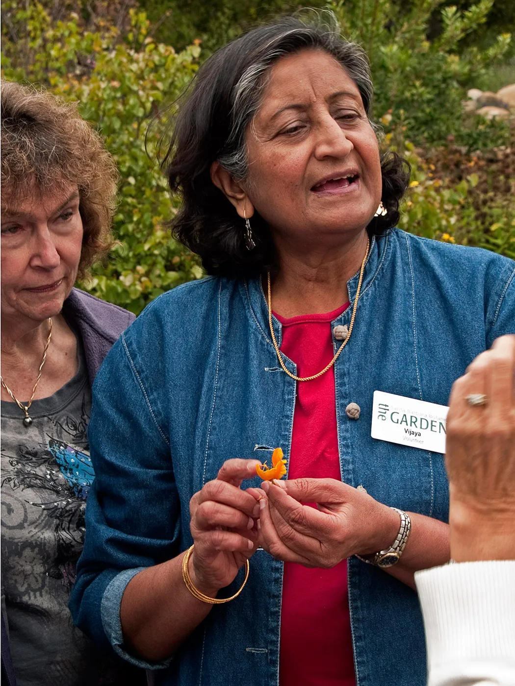 Docent Tour, National Public Gardens Day, tour at SBBG