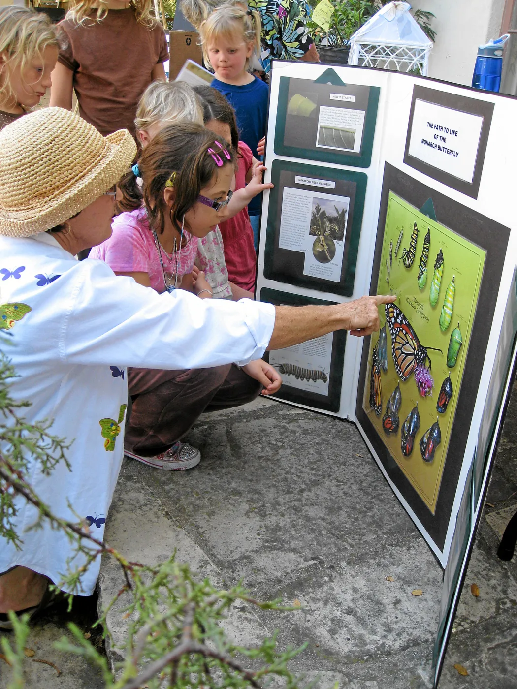 Community Free Day