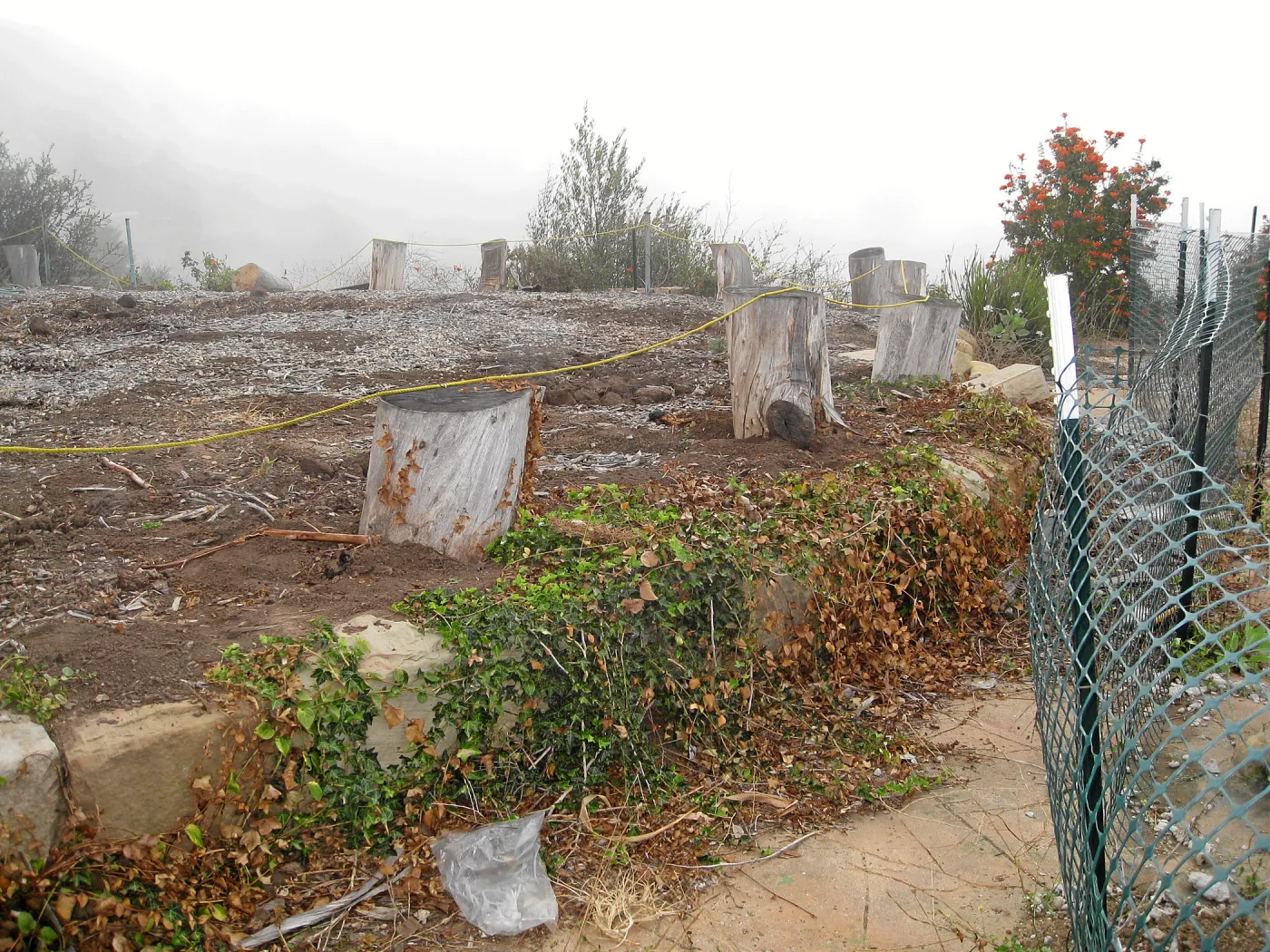 Gane site before pool demolition