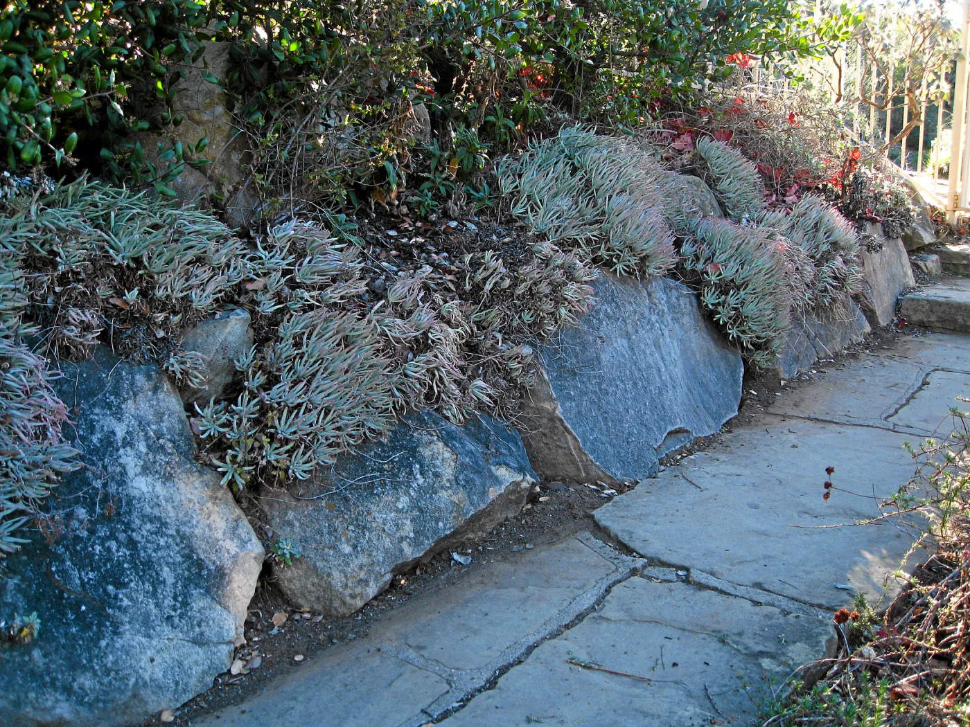 Parking lot steps to Mission Canyon Road