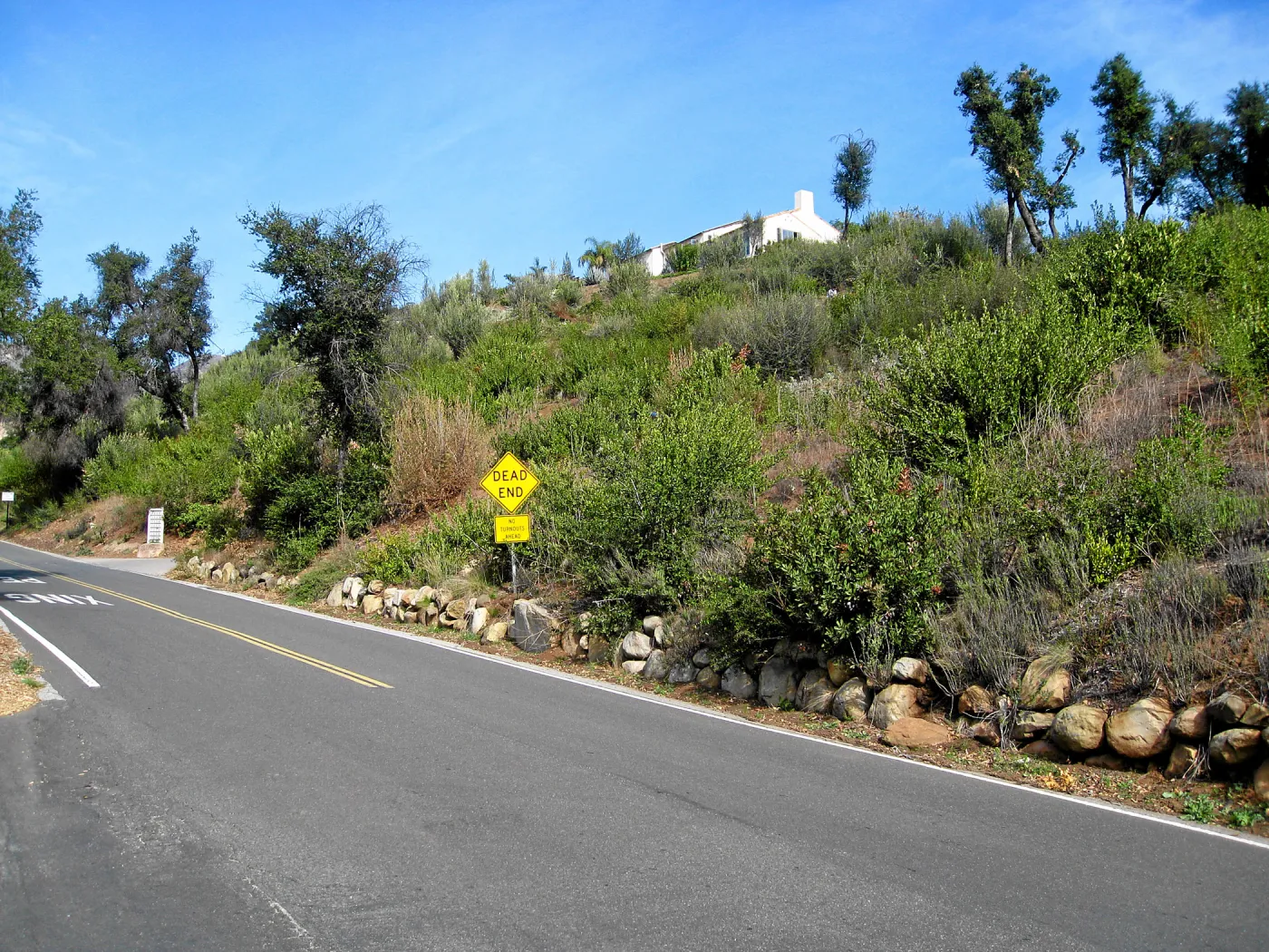 Vegetation regrowth along Mission Canyon Road