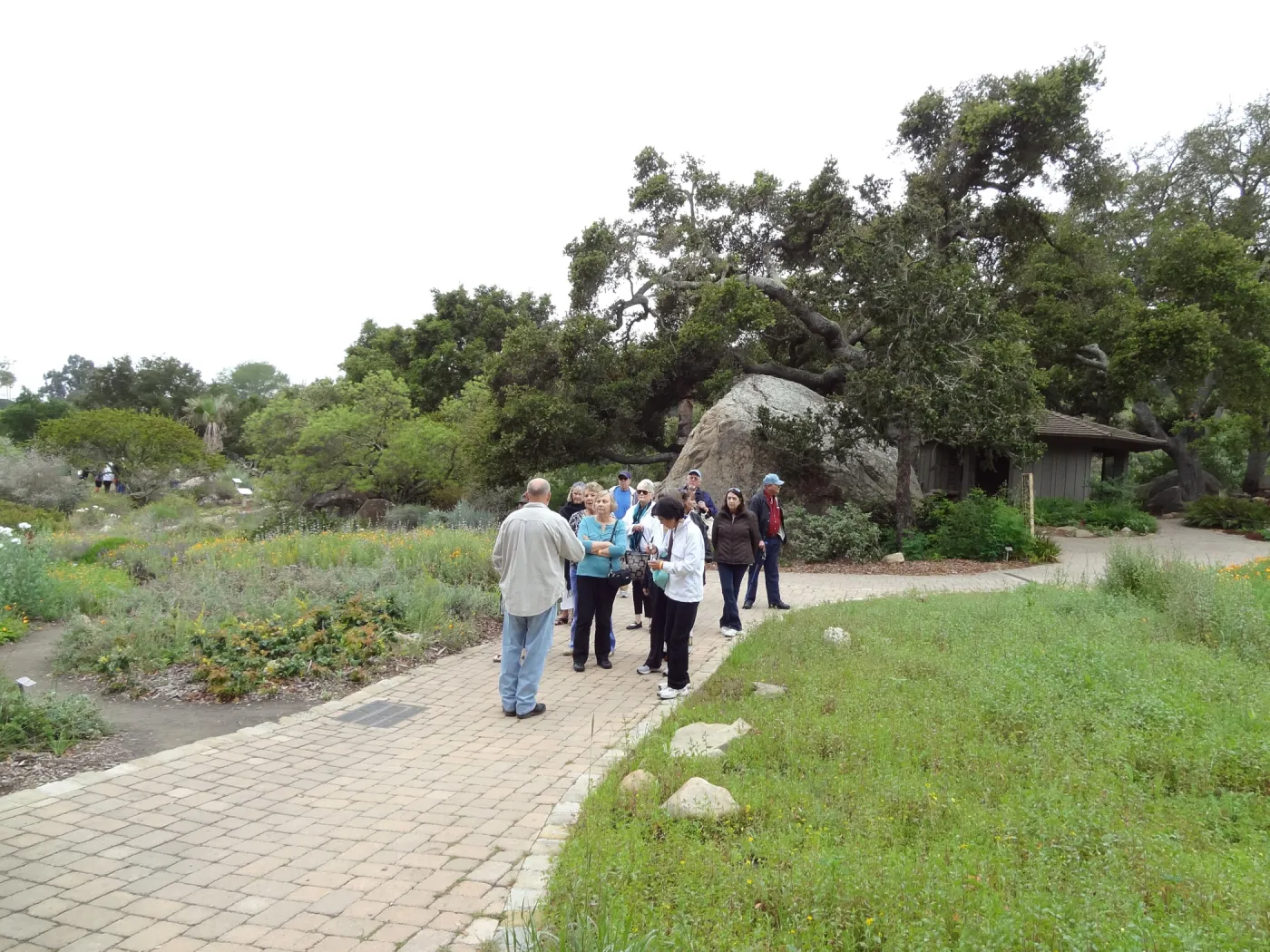 Docent Tours in the Garden, National Public Gardens Day 2012, SBBG