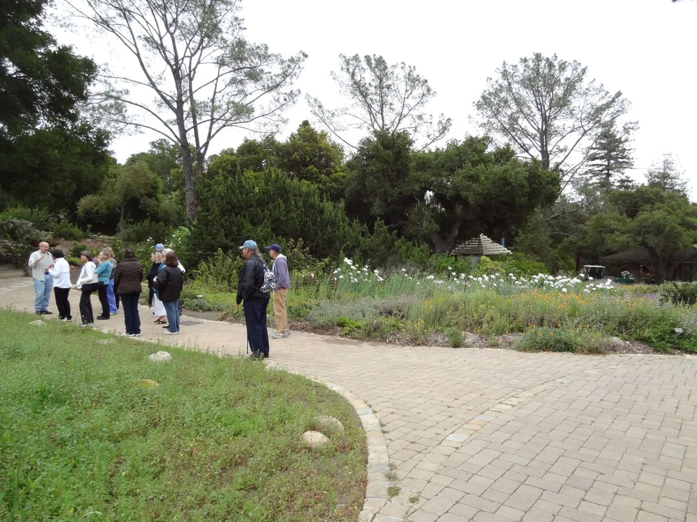 Docent Tours in the Garden, National Public Gardens Day 2012, SBBG