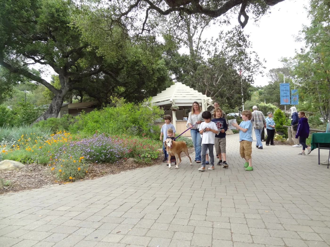 Visitors at Entrance kiosk, National Public Gardens Day 2012, SBBG