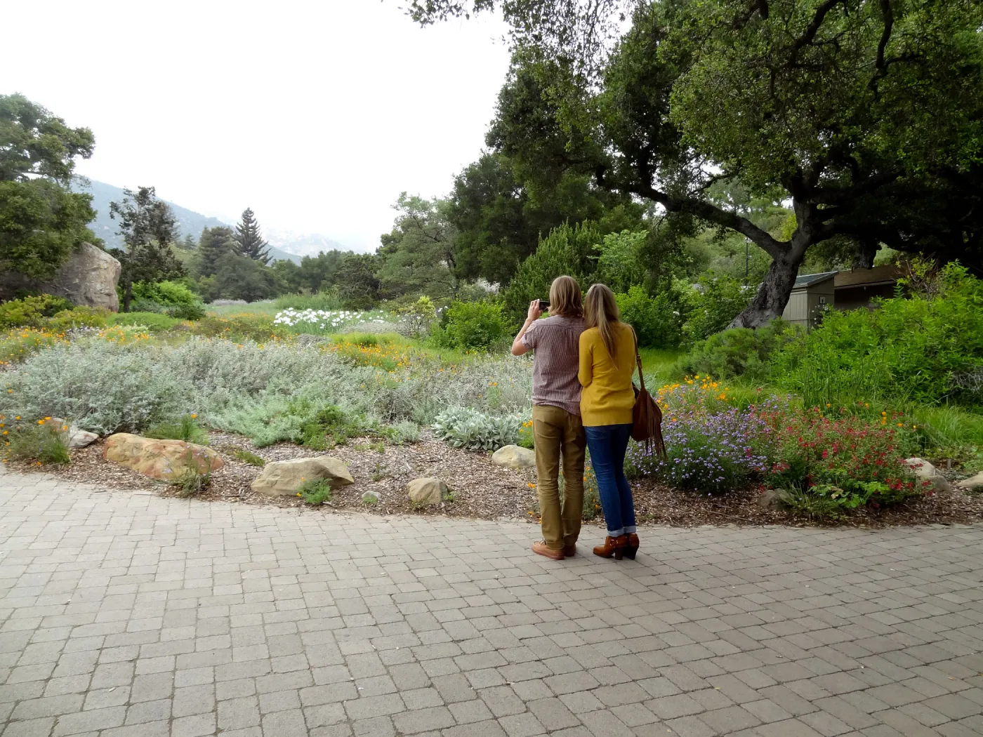 Couple looking toward the Meadow, National Public Gardens Day 2012, SBBG