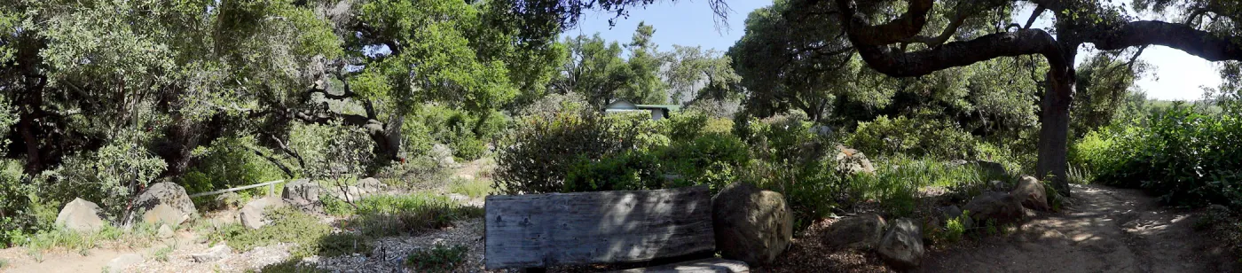 wood bench, oak canopy, Manzanita Section panorama