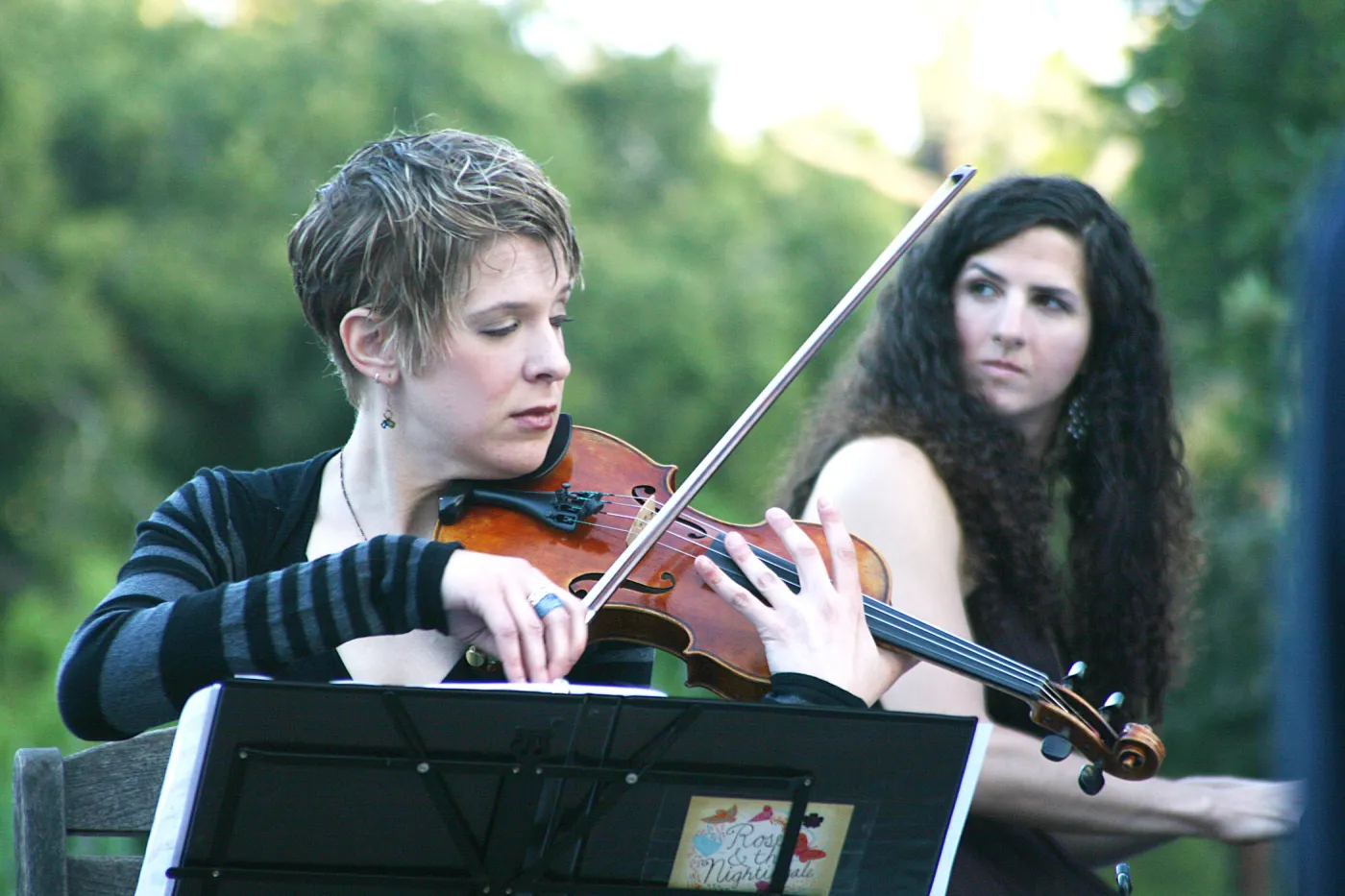 musicians, Rose and Nightingale concert in the Garden event