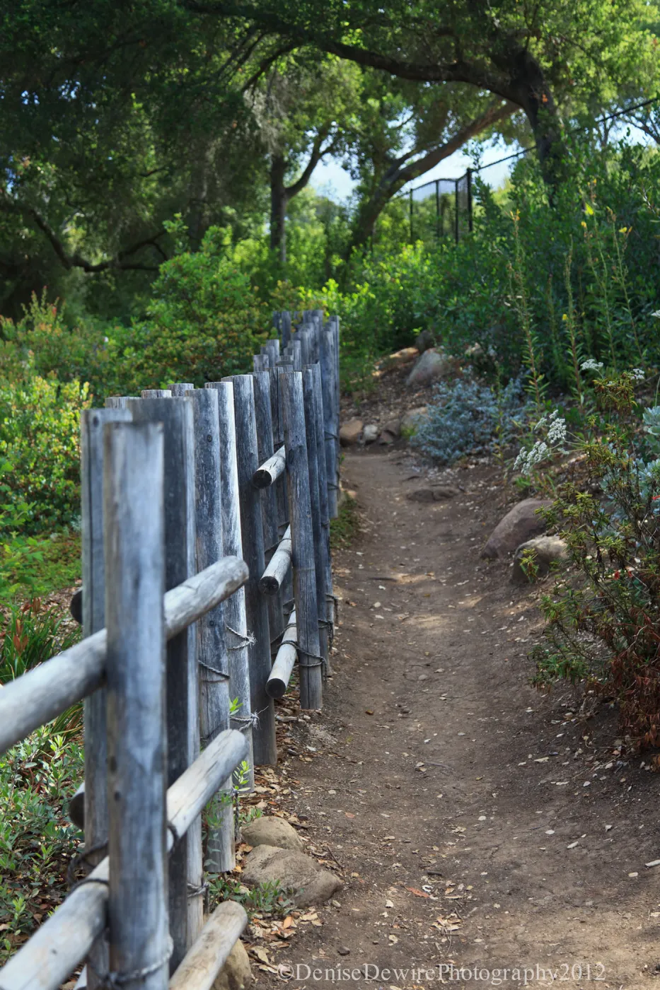 Tea House fence