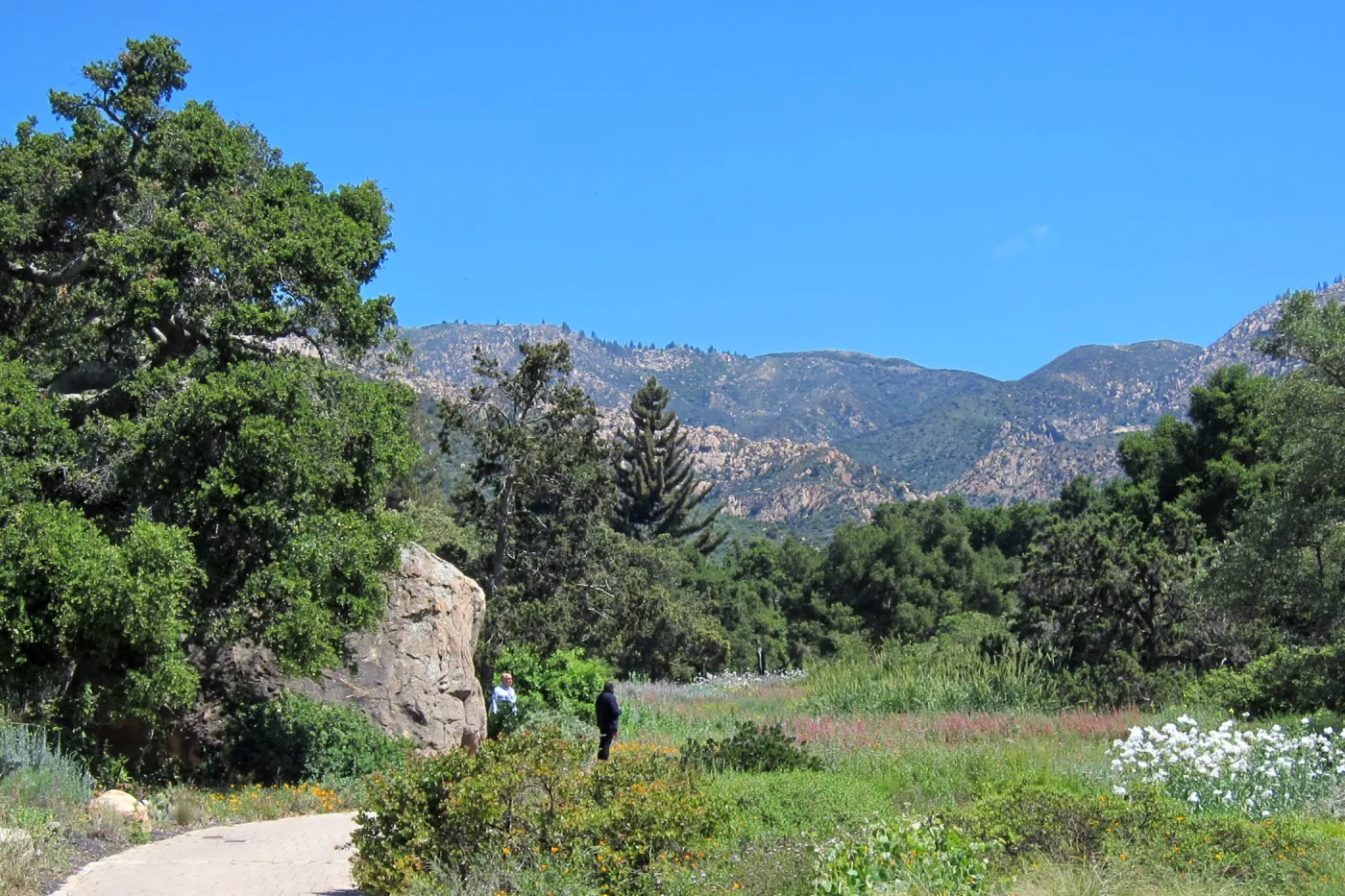 SBBG Meadow, Blaksley Boulder, SBBG Photo Contest 2012