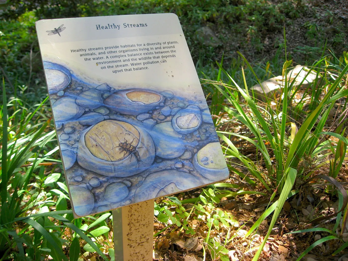 SBBG Discovery Garden signage, art by Peter Gaede