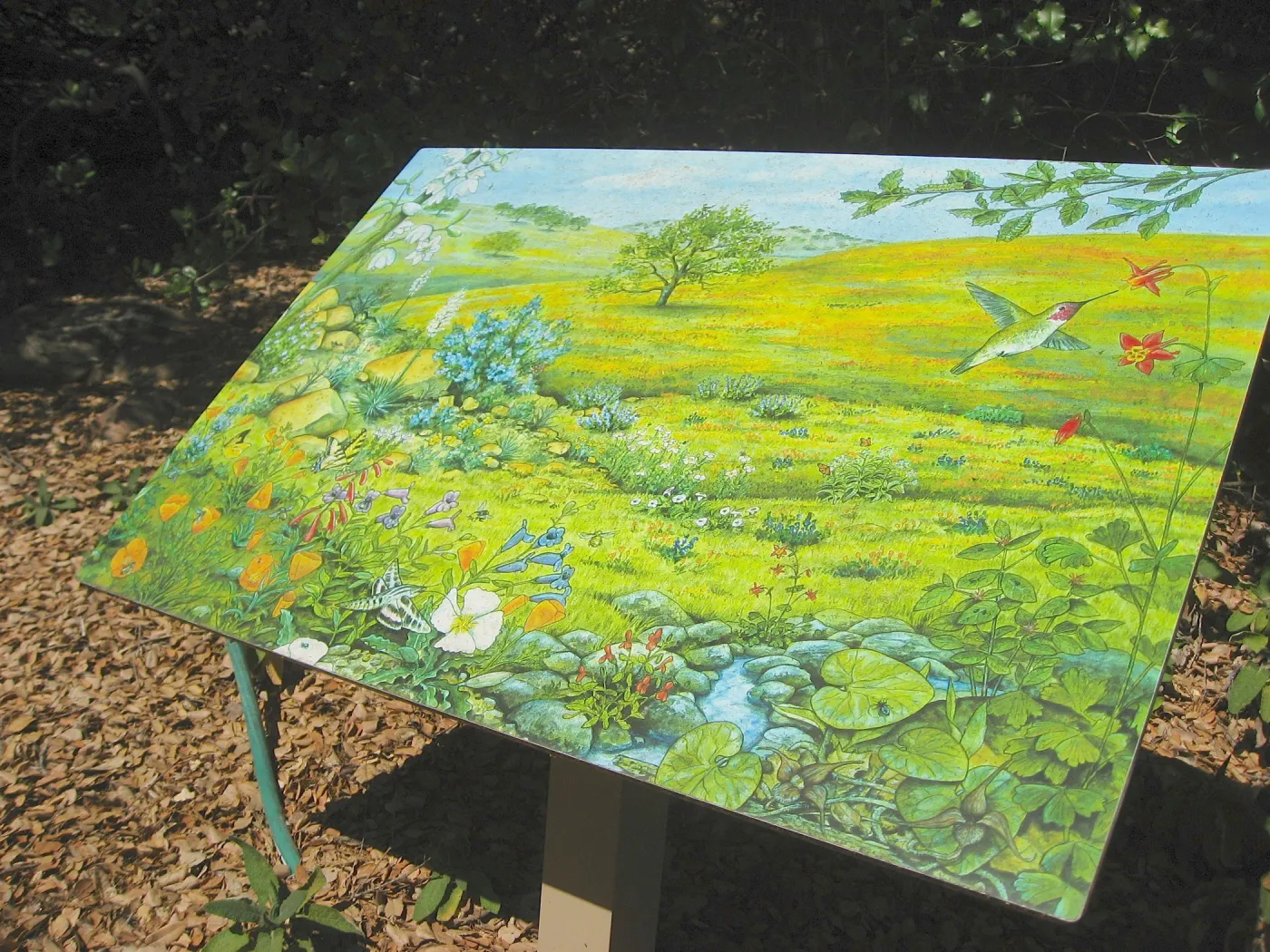 SBBG Discovery Garden signage, art by Peter Gaede