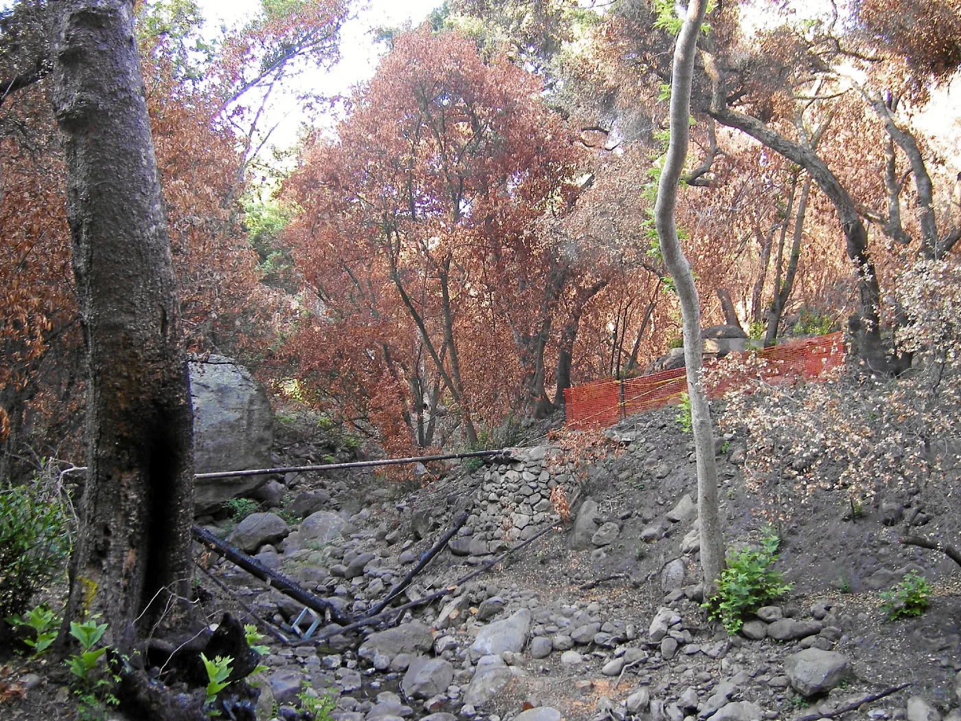 Fire damage, Campbell Bridge site