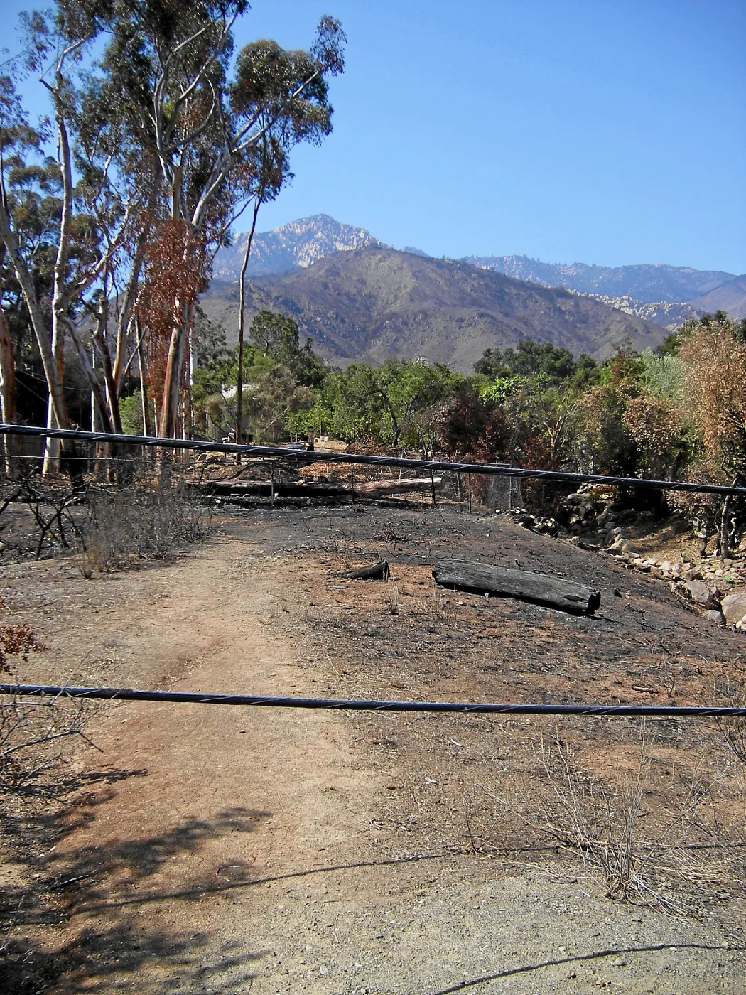 Jesusita Fire aftermath, upper Tunnel Road gate, patially downed cables