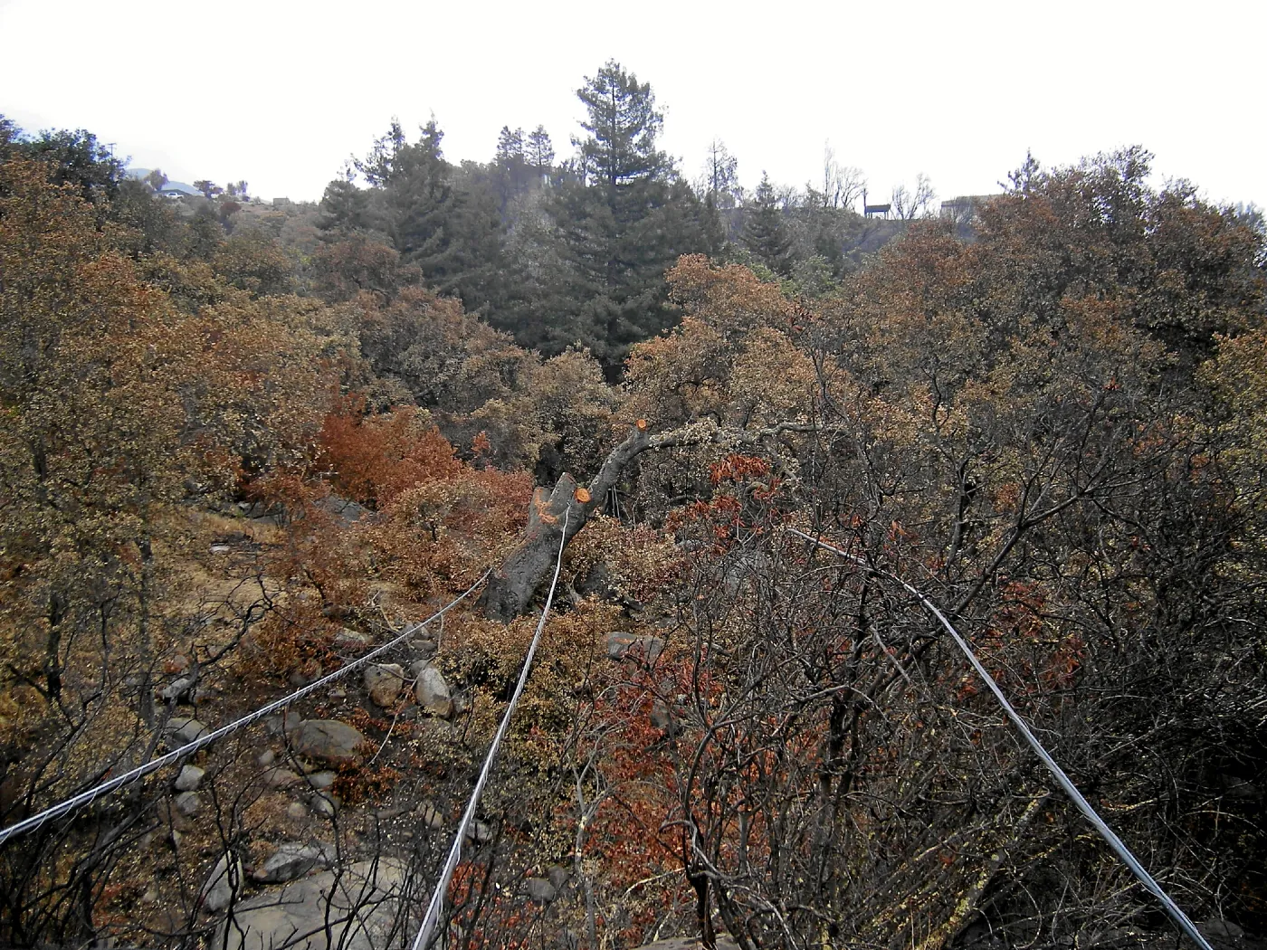 Jesusita Fire clearance