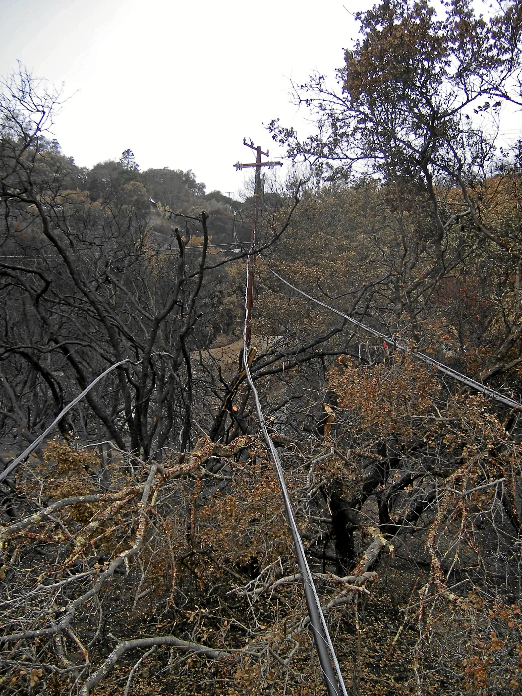 Jesusita Fire clearance