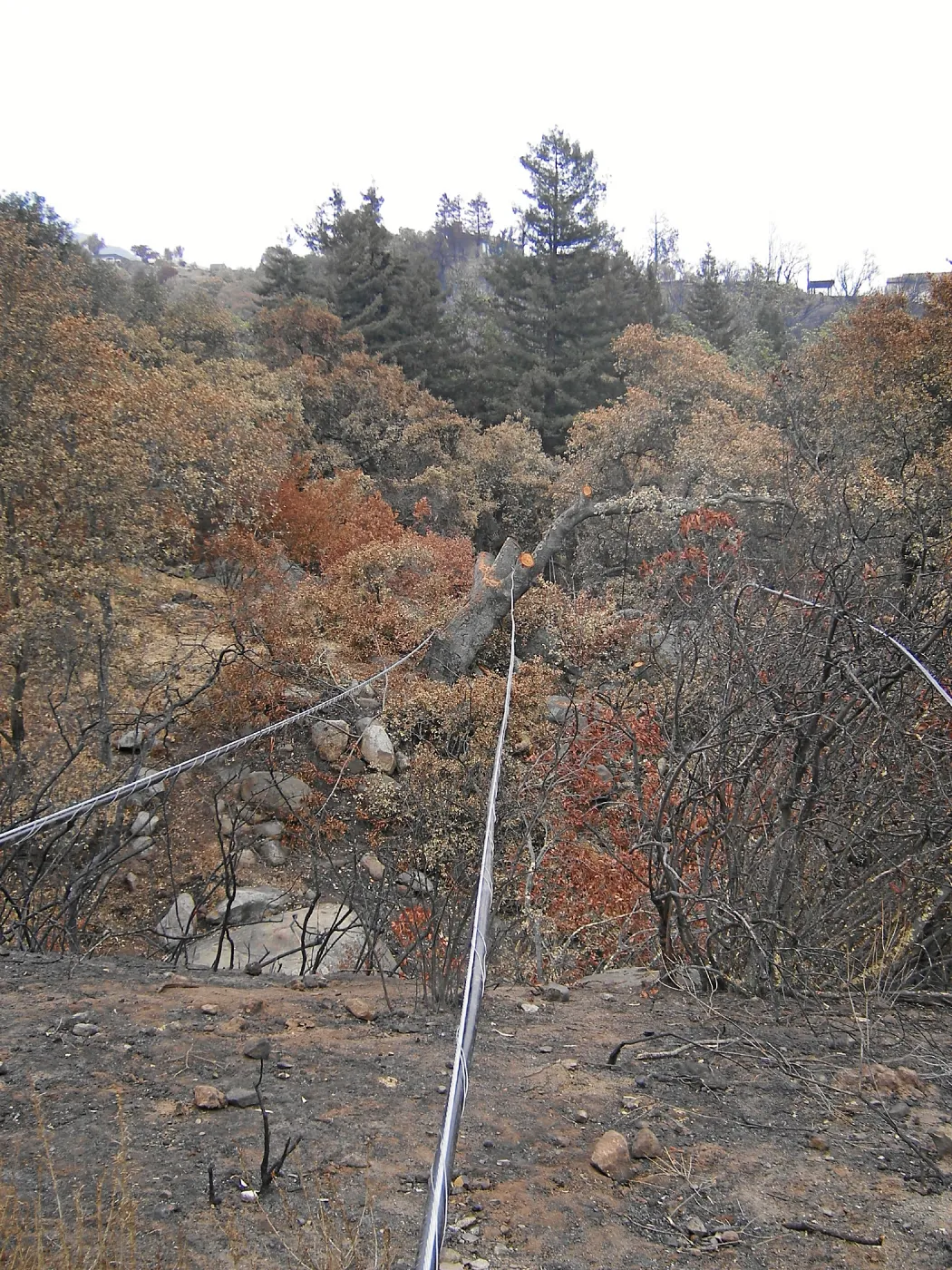 Jesusita Fire clearance