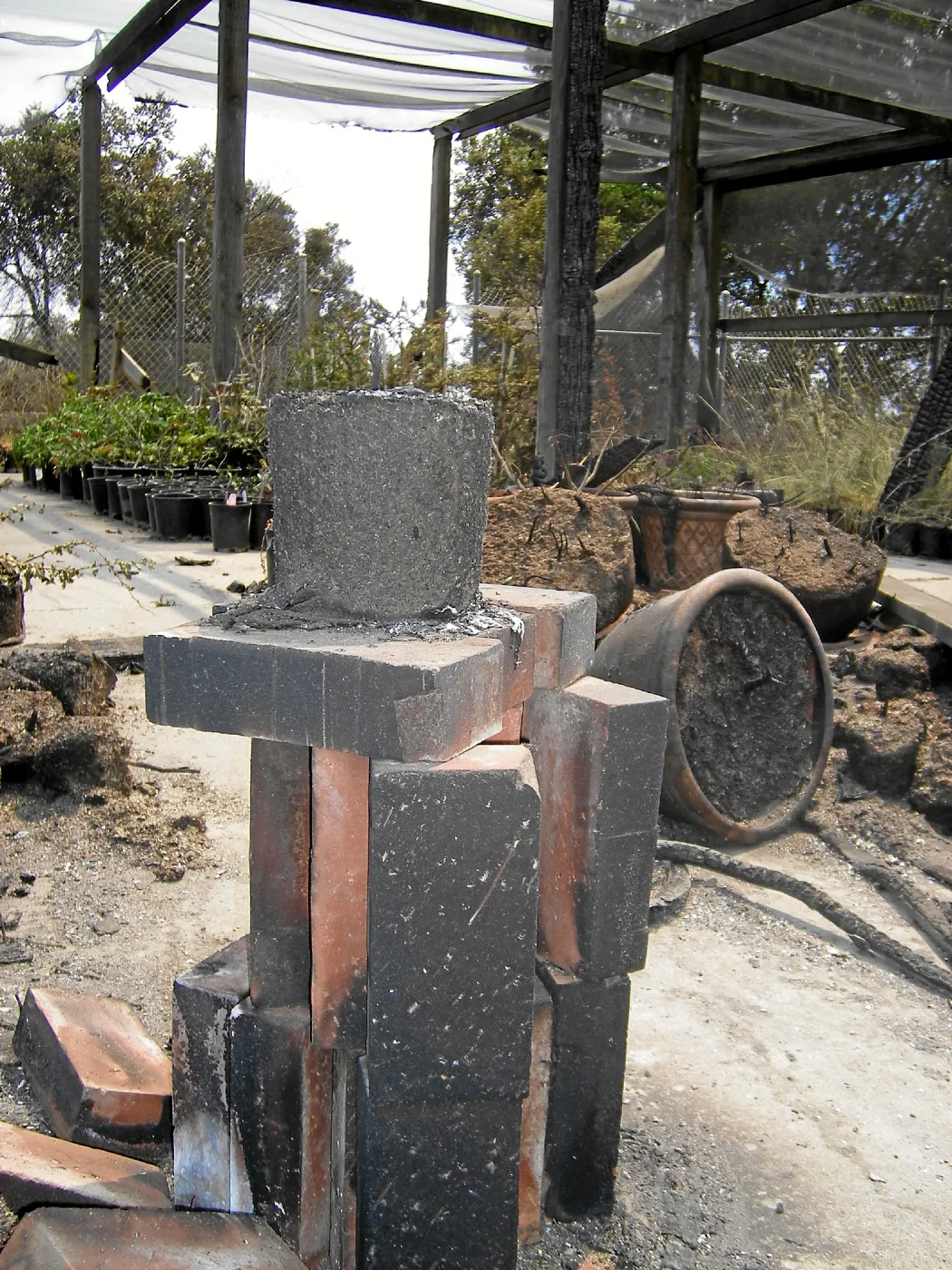 Jesusita Fire damage at the Hort Unit