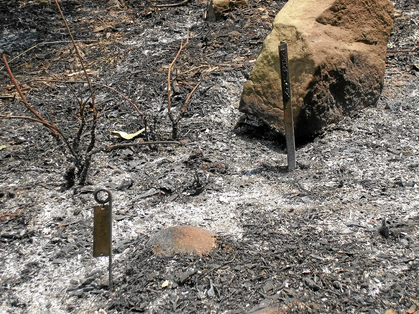 Jesusita Fire, accession stakes
