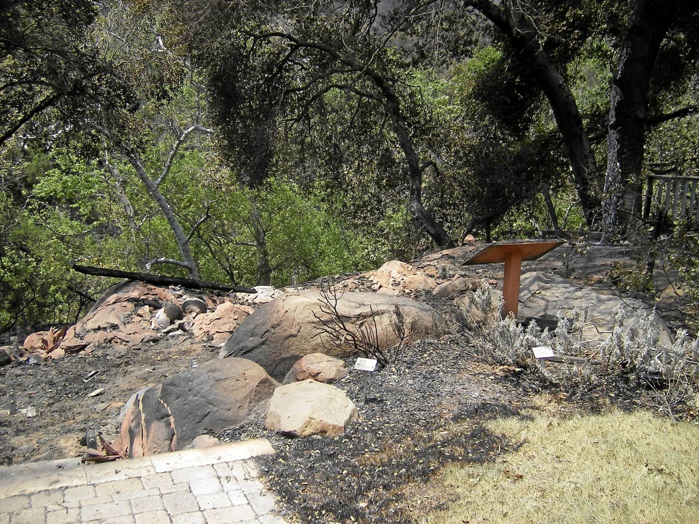 Jesusita Fire, damage to Home Demonstration Garden
