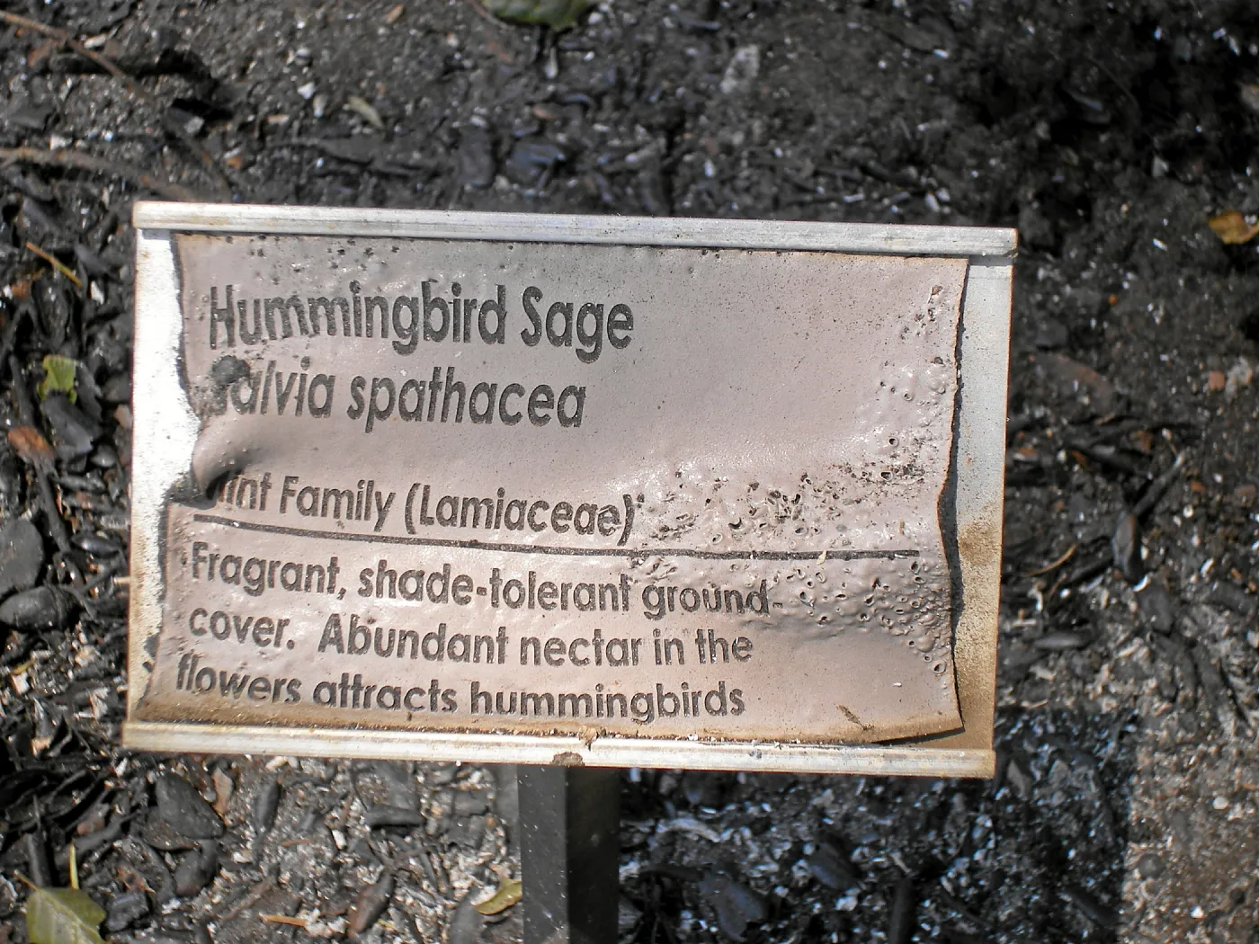 Plant identification sign damage after the Jesusita fire