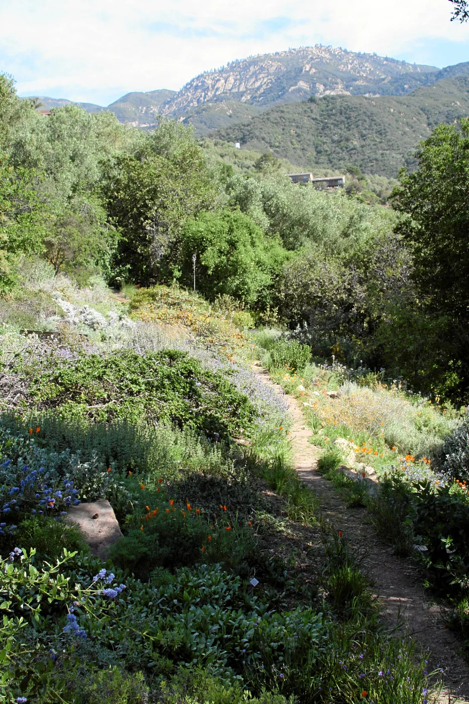 Porter Trail, Switch Back, North