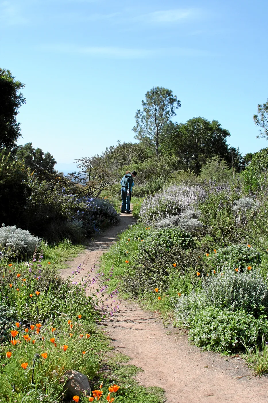 Porter Trail,East path south