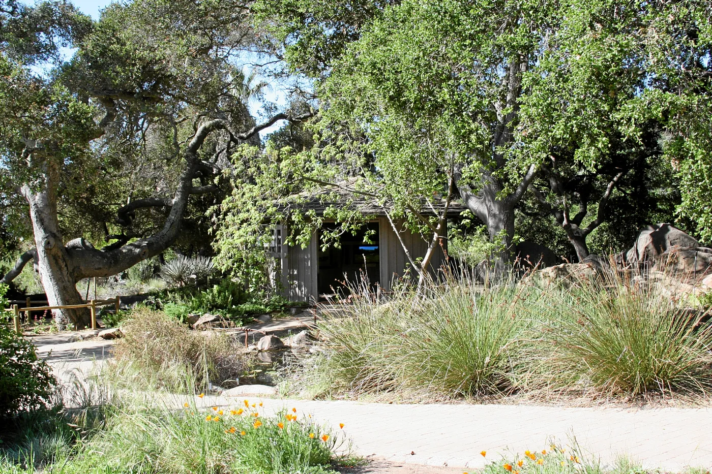 Meadow, Info Kiosk