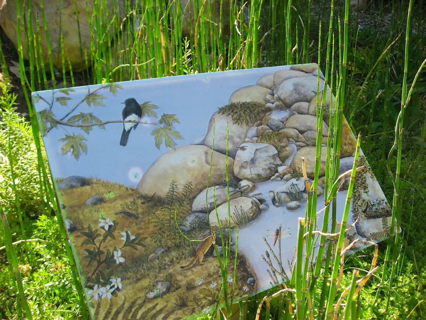 SBBG Discovery Garden signage, art by Peter Gaede