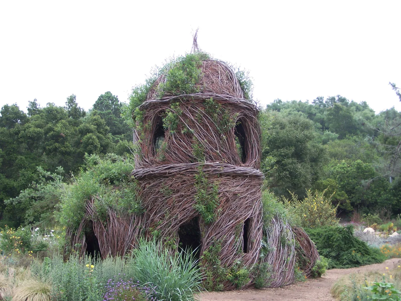 Toad Hall willow sculpture, SBBG