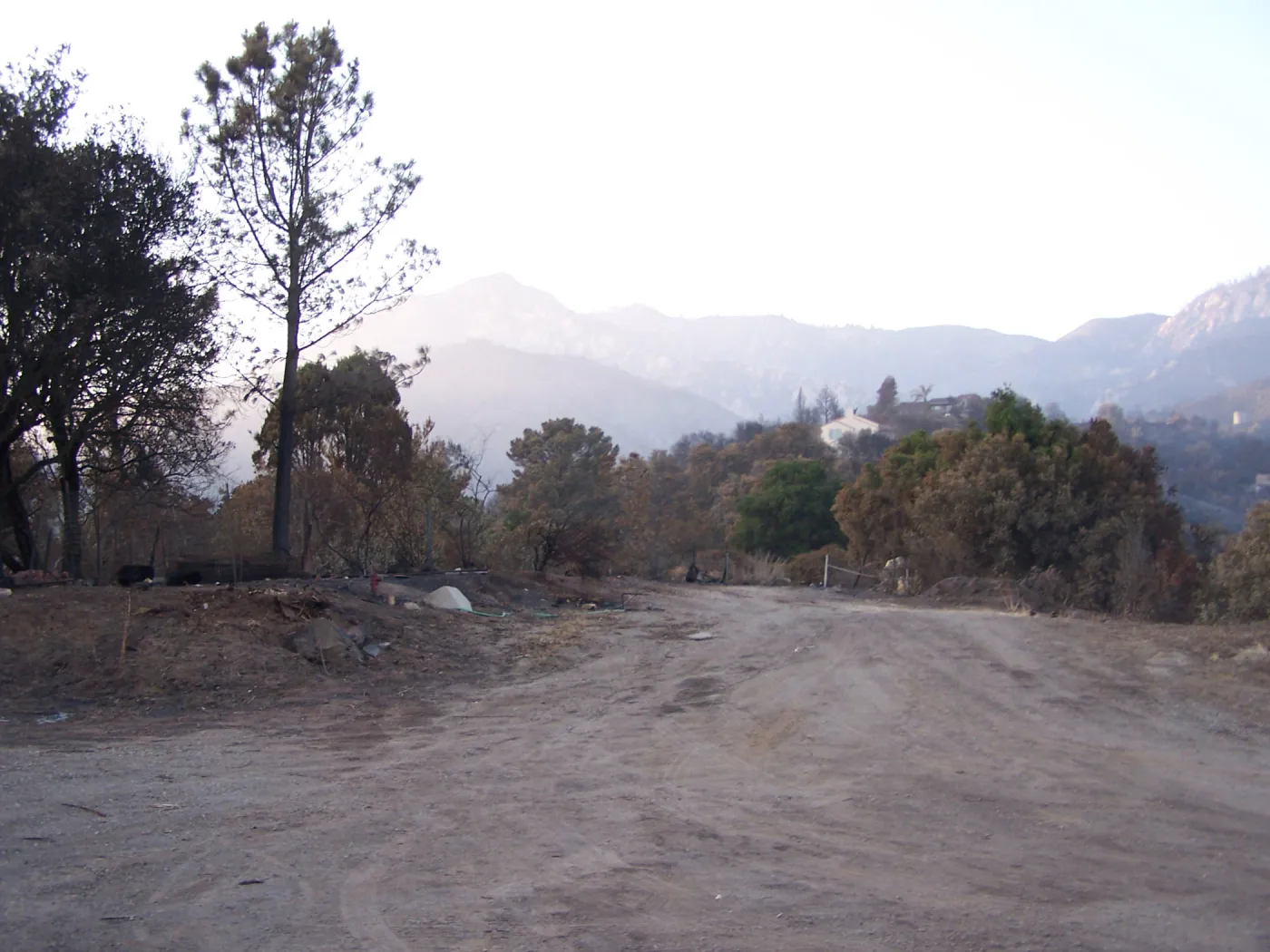 SBBG After the Jesusita Fire, fire damage on the east side of the Garden and at the Hort Unit