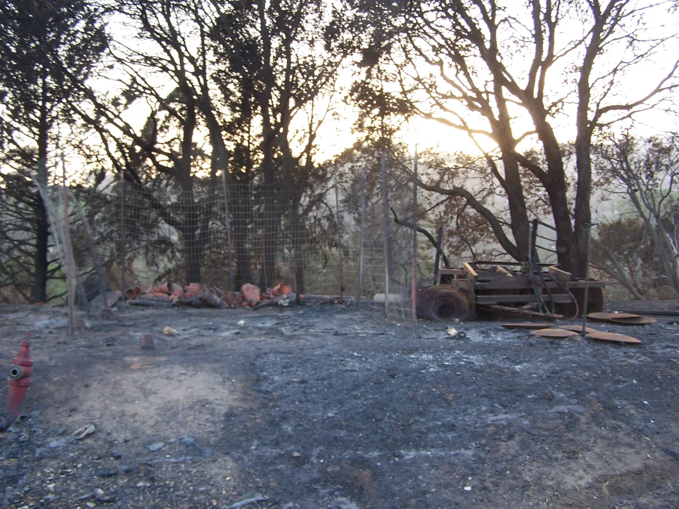 SBBG After the Jesusita Fire, fire damage on the east side of the Garden and at the Hort Unit
