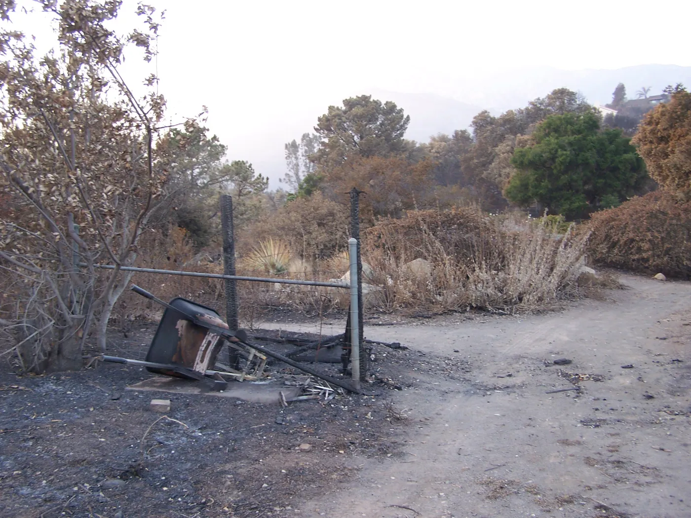 SBBG After the Jesusita Fire, fire damage on the east side of the Garden and at the Hort Unit
