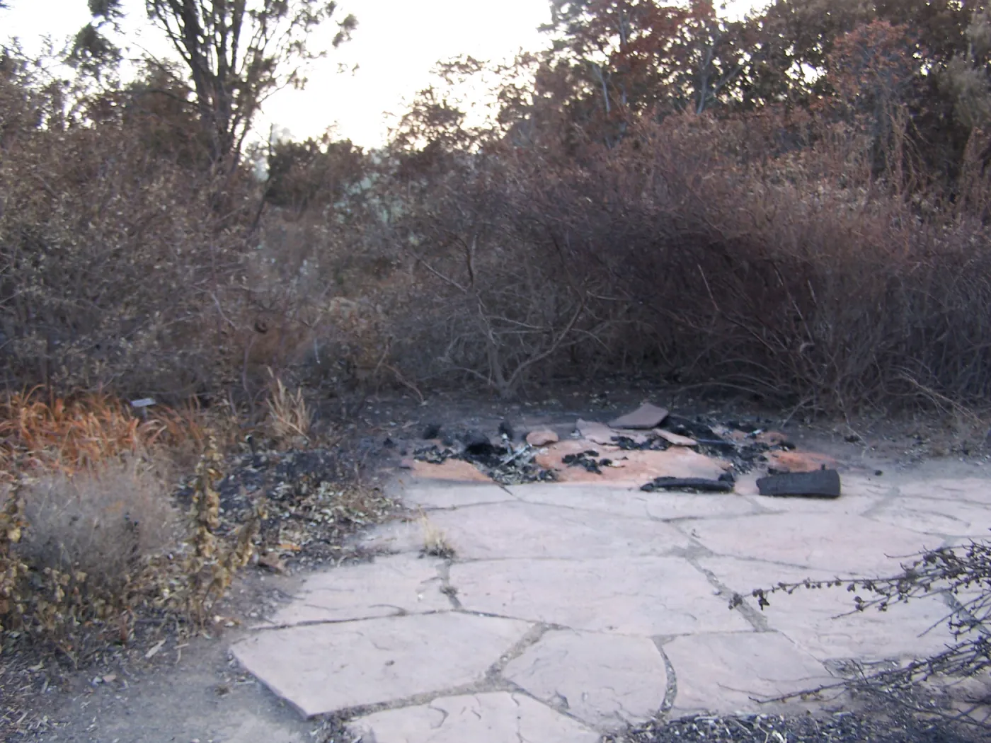 SBBG After the Jesusita Fire, fire damage on the east side of the Garden and at the Hort Unit