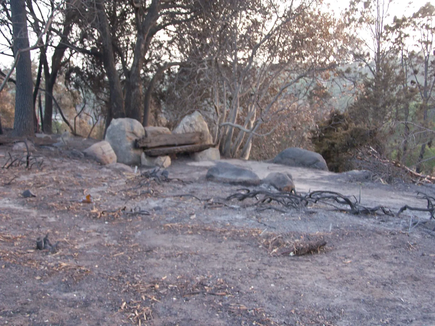 SBBG After the Jesusita Fire, fire damage on the east side of the Garden and at the Hort Unit