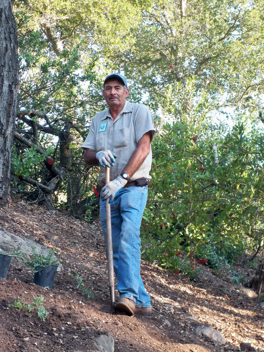 SBBG gardener Manuel Gonzalez