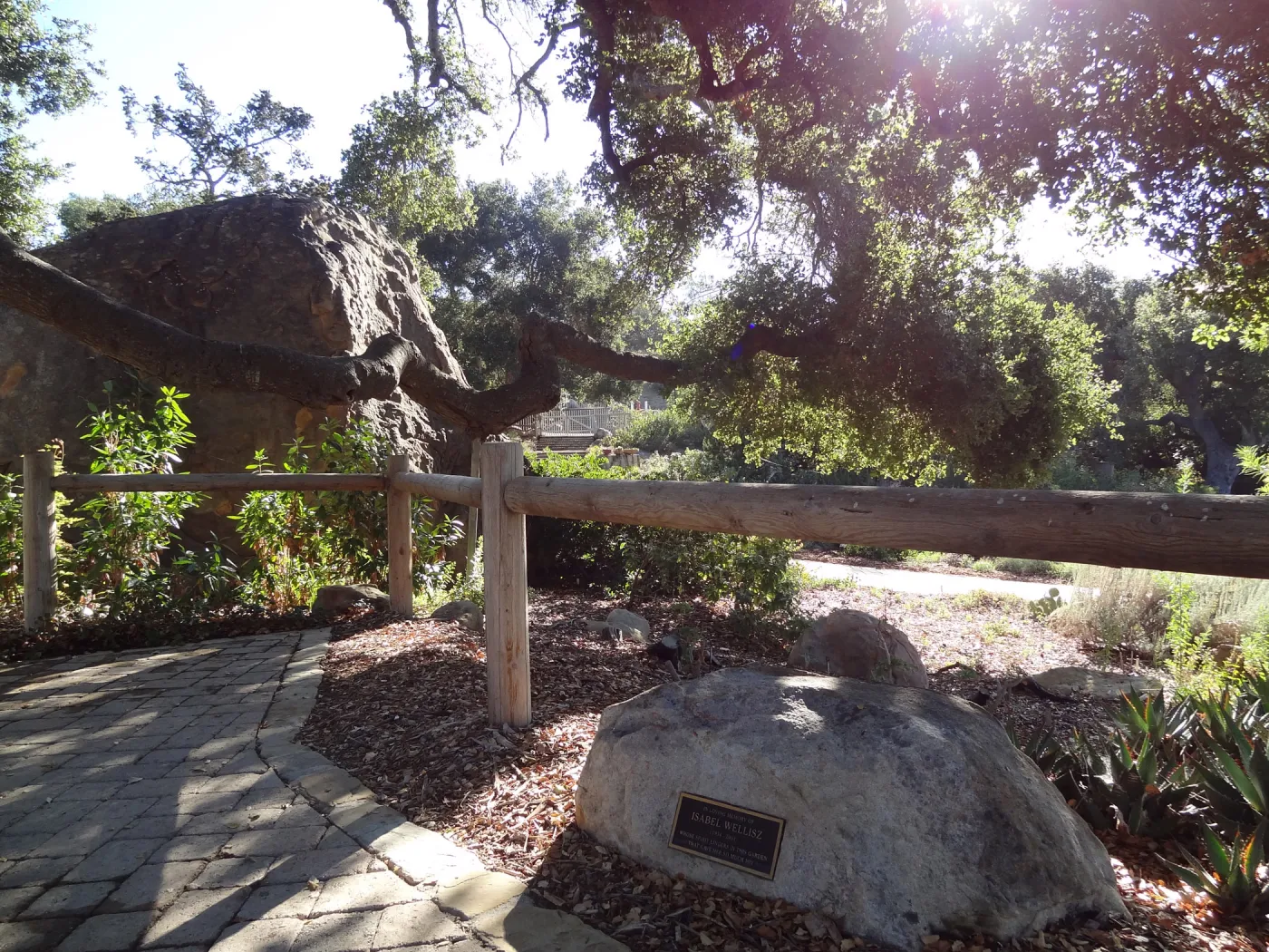 back side of the Blaksley Boulder, wood fence, boulder with plaque, under oak
