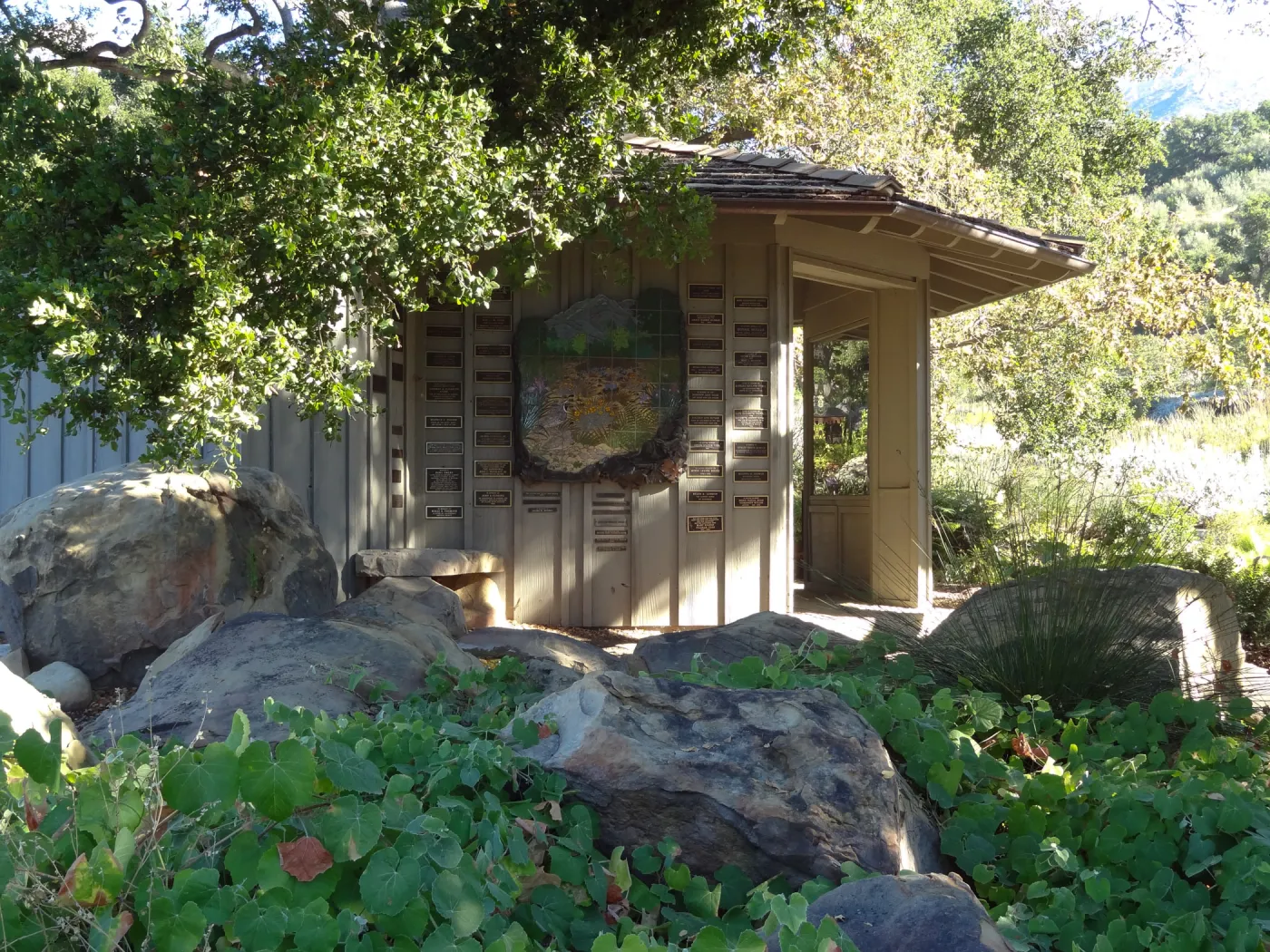 Information Kiosk under oak canopy