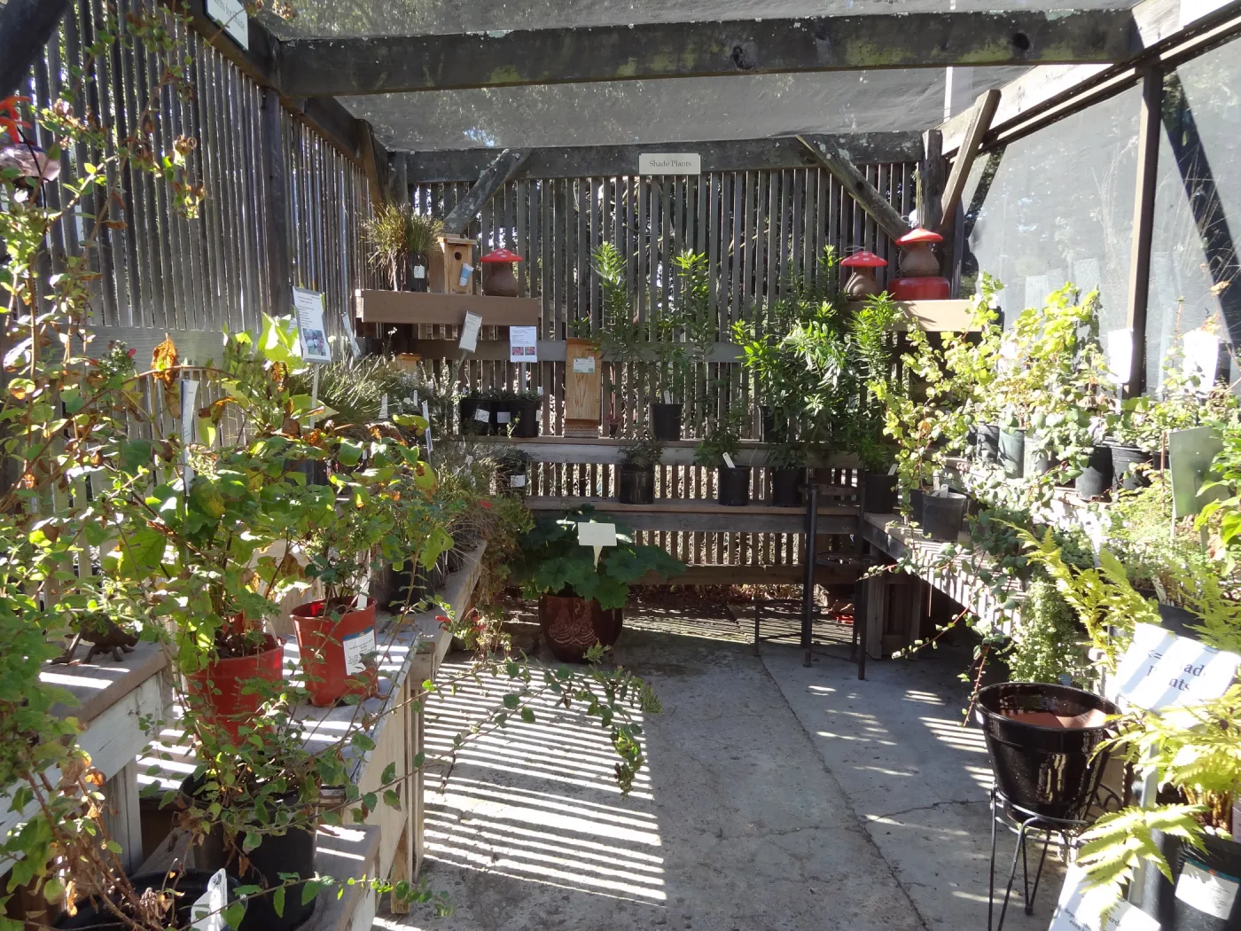 SBBG Garden Growers Nursery