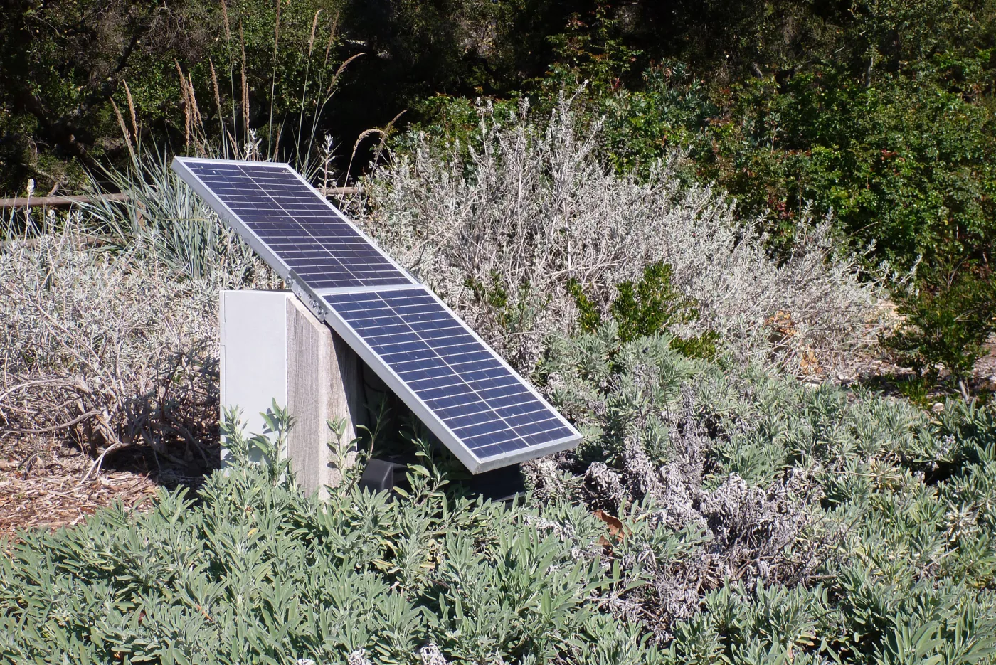 solar panel for irrigation system, SBBG Meadow